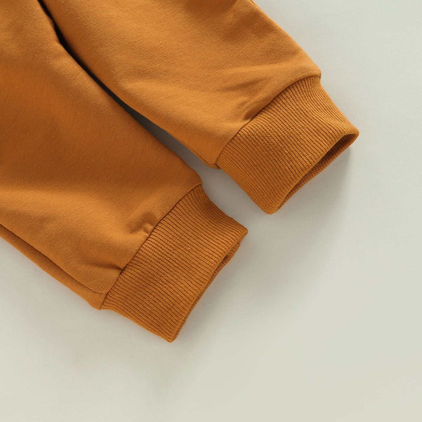 Baby Boy Letter Print Hoodie 2Pcs Fall Outfit