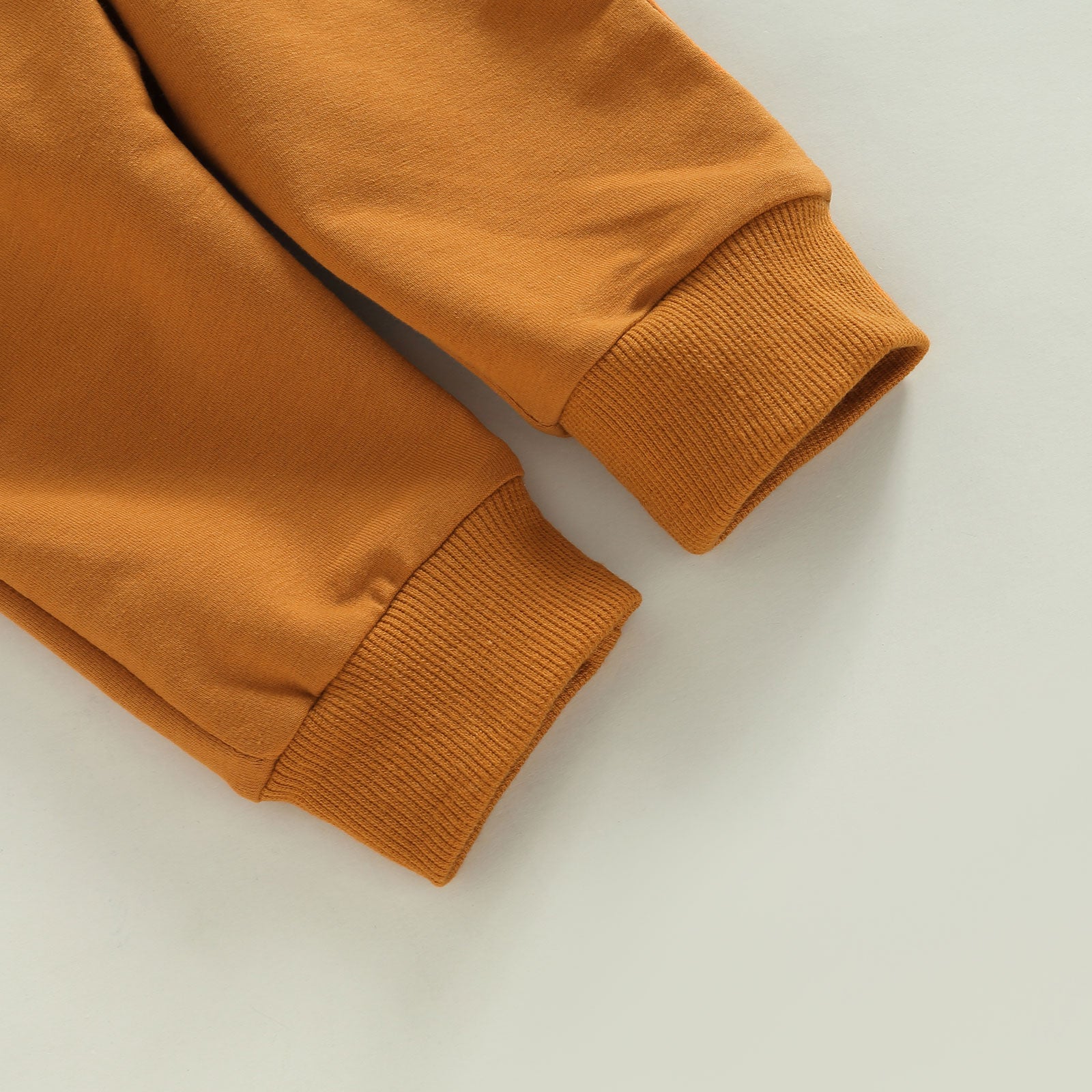 Baby Boy Letter Print Hoodie 2Pcs Fall Outfit