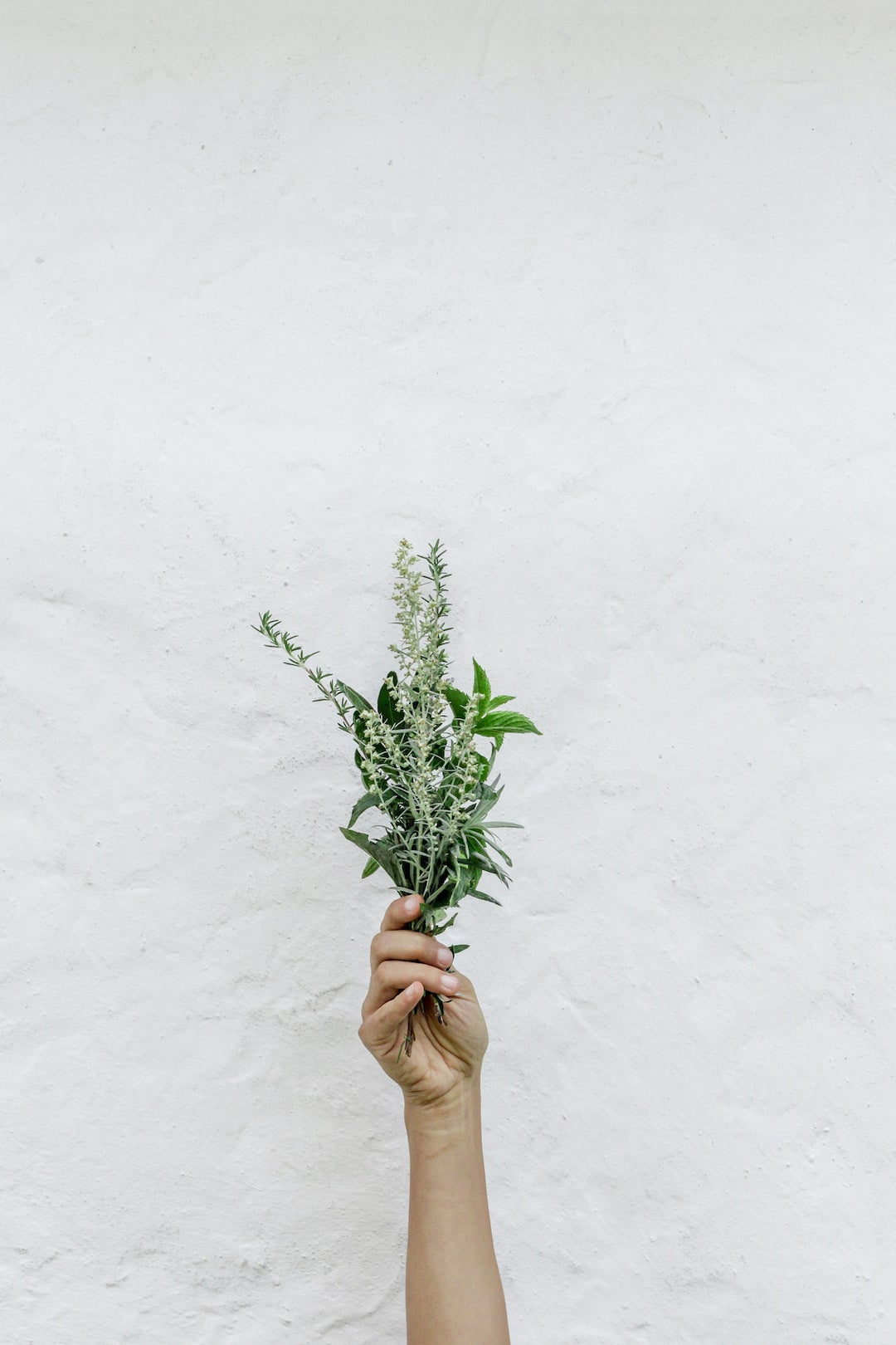 The Ultimate DIY Beauty Recipes for Healthy Skin