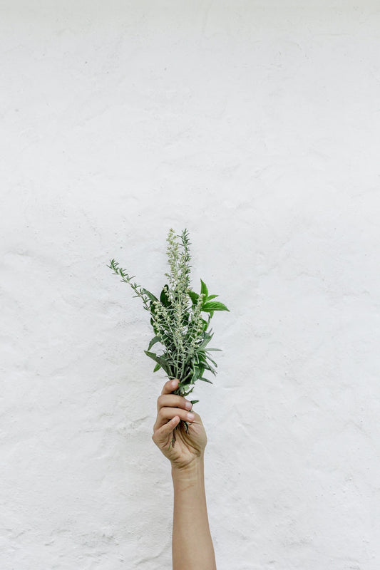 The Ultimate DIY Beauty Recipes for Healthy Skin