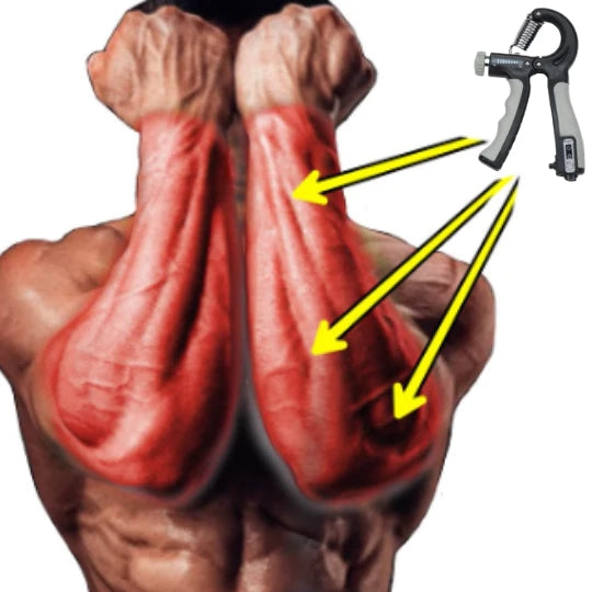 Flexor Force| Forearm Workout for Muscle Mass Gain